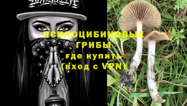 прущий лед Арсеньев