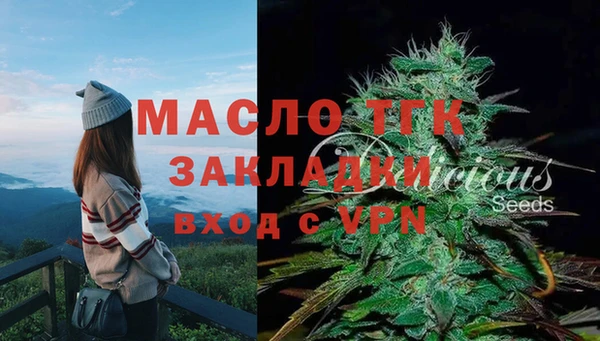 прущий лед Арсеньев