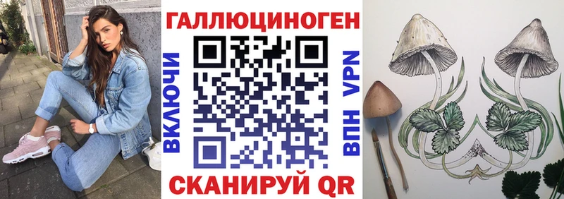 Галлюциногенные грибы Magic Shrooms  купить   Покровск 